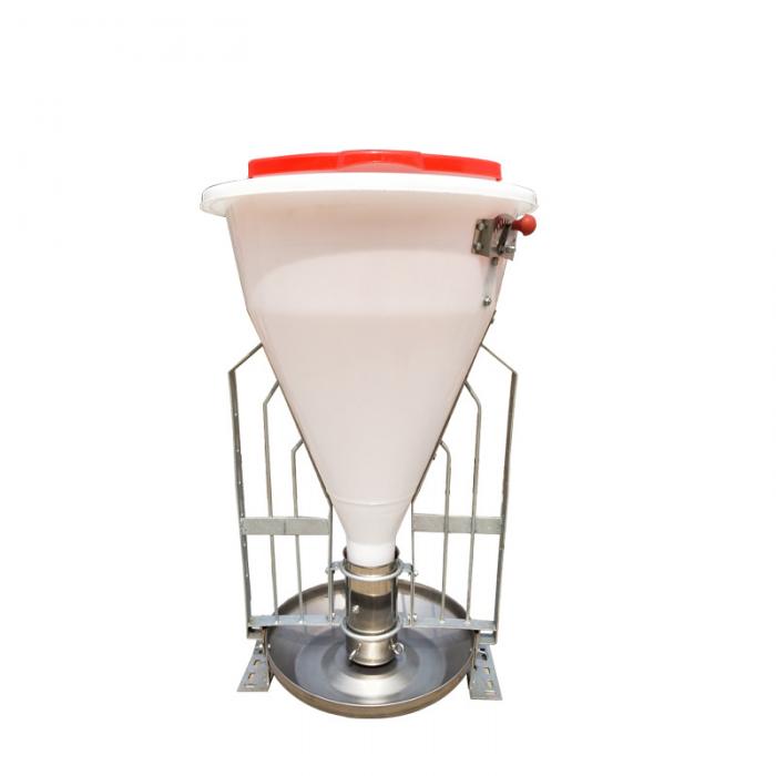 Automatic Pig Dry Feeder