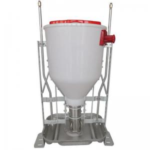Automatic Pig Dry and Wet Feeder