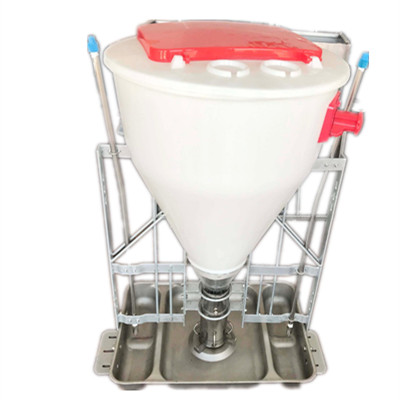 Automatic Pig Dry and Wet Feeder