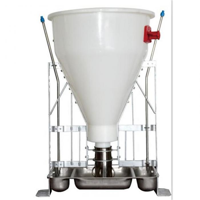 Automatic Pig Dry and Wet Feeder