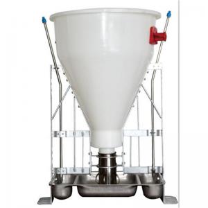 Automatic Pig Dry and Wet Feeder
