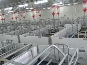 Farrowing Crate