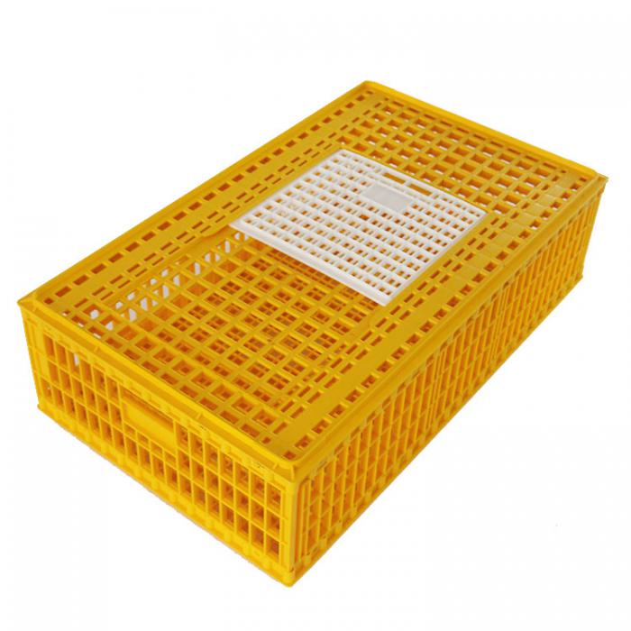 Plastic Transport Cage