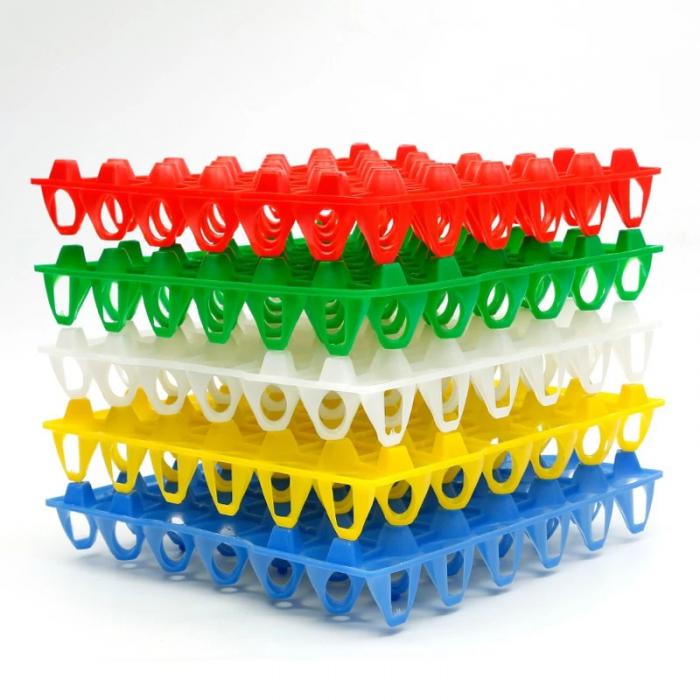 Chicken Eggs Tray