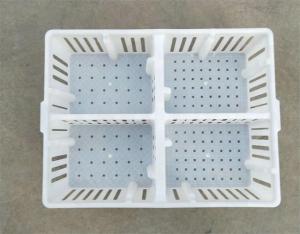 Plastic Transport Cage