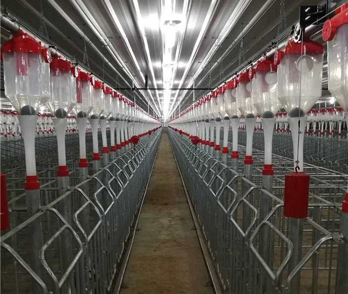 Gestation Crate