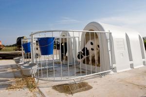 Calf Hutch